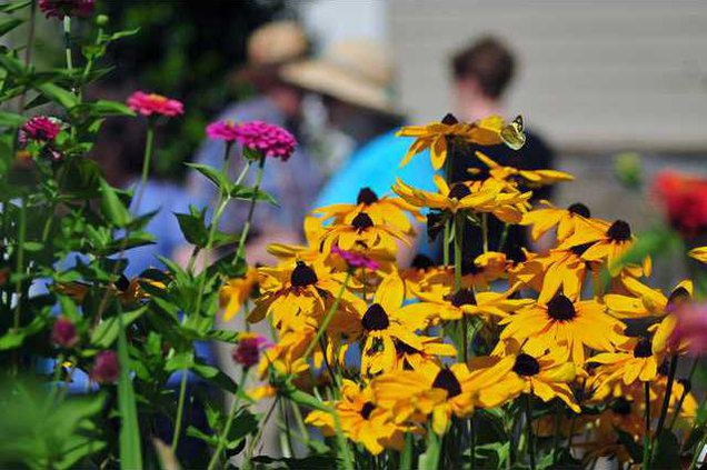 0815garden6