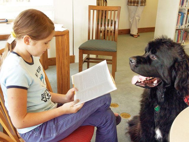 Tails to tell: Kids read to dogs - Gainesville Times
