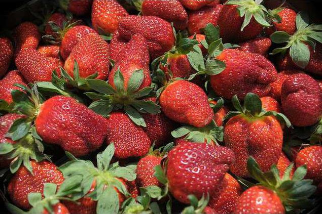 0405strawberries5