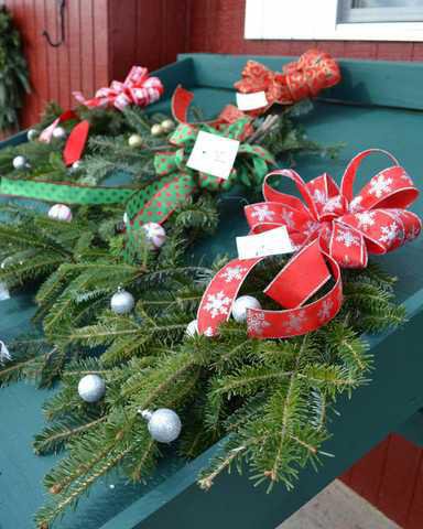 Visiting Christmas Tree Farms Becomes Family Tradition Gainesville Times