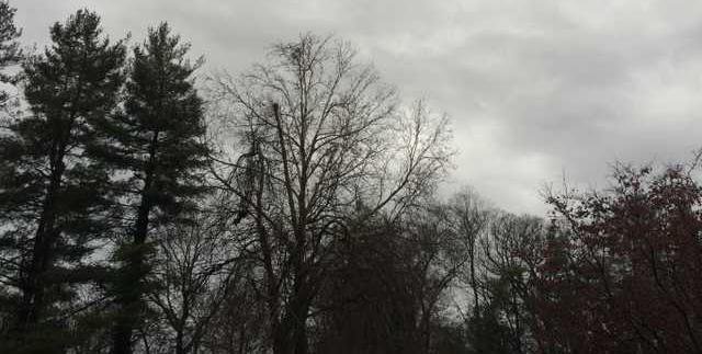 weather