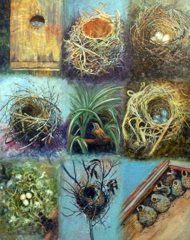 Birds Nest Invitational Highlights Nature Just In Time For Earth Day Gainesville Times