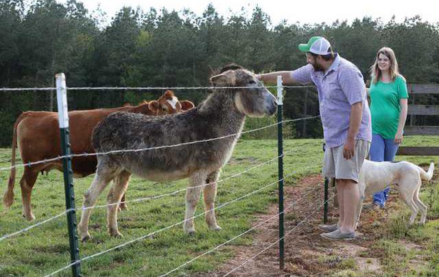 0529 Winery biz 0002