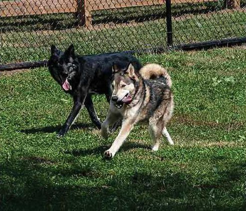 0602CHESTATEE-PRESERVE2