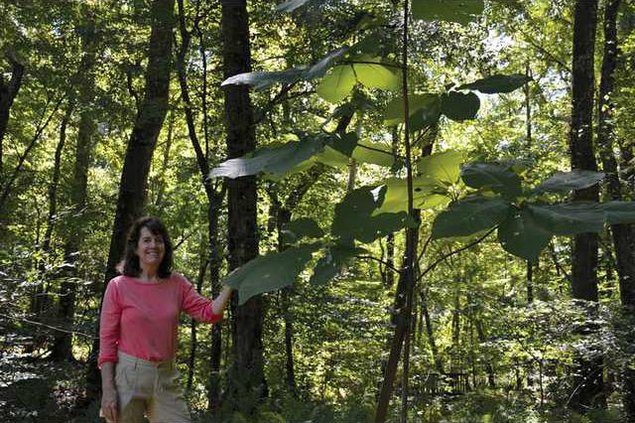 1006-GO-REDBUD-edwards-3