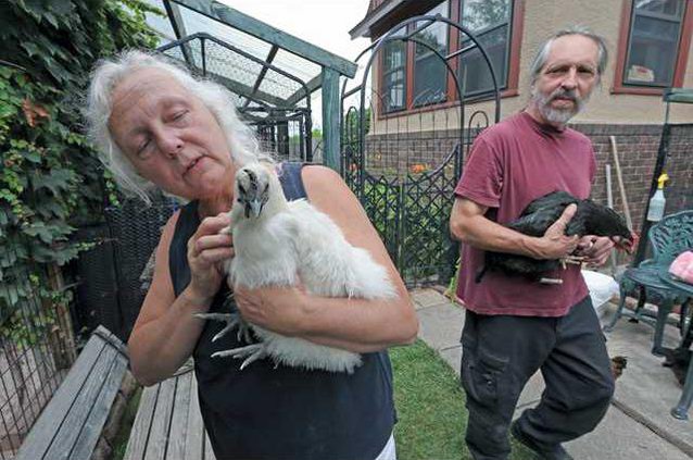 1018chickens
