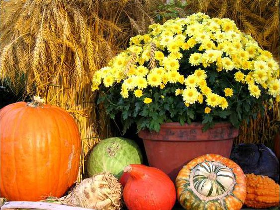 1019FALLDECOR