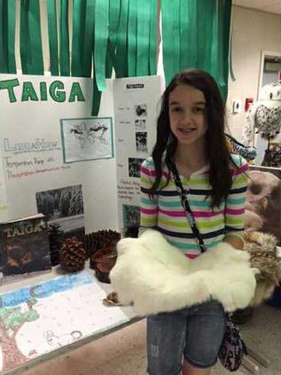 Biome Picture