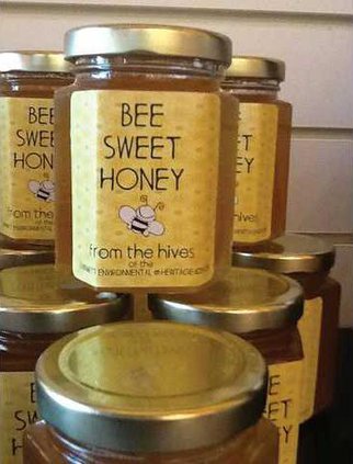 GO-HONEYBEE-FESTIVAL 