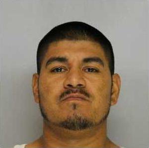 Jose Luis Ochoa-Paredes