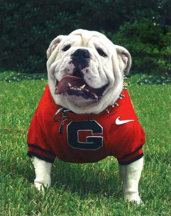 uga1