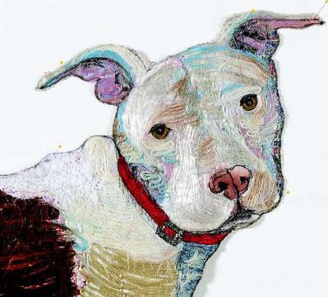 0204 GO PIEDMONT - Phillips art