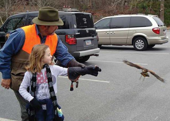 0616FALCONRY4