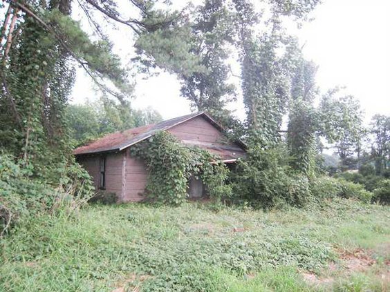 0711Kudzu3