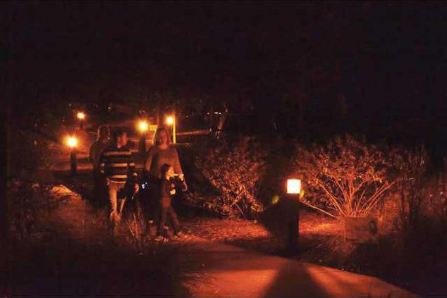 1015-GO-GEHC-NIGHT-FEST