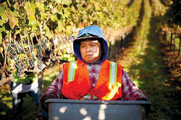 1107-GO-harvest-film