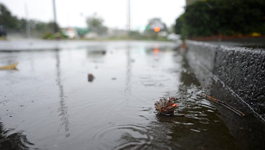 Hall County experiences downed trees, power outages after severe thunderstorm