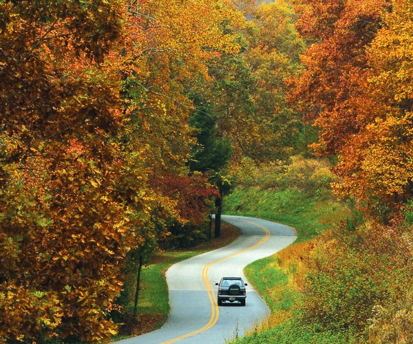 10082017 FALL COLOR