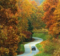10082017 FALL COLOR