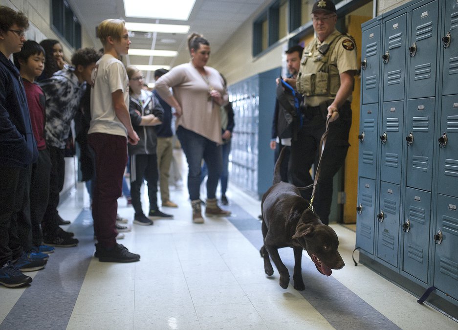 Drugsniffing dog doing ‘incredible’ job for Hall schools Gainesville