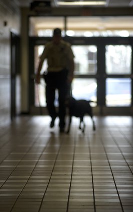 12182017 DOG 4.jpg