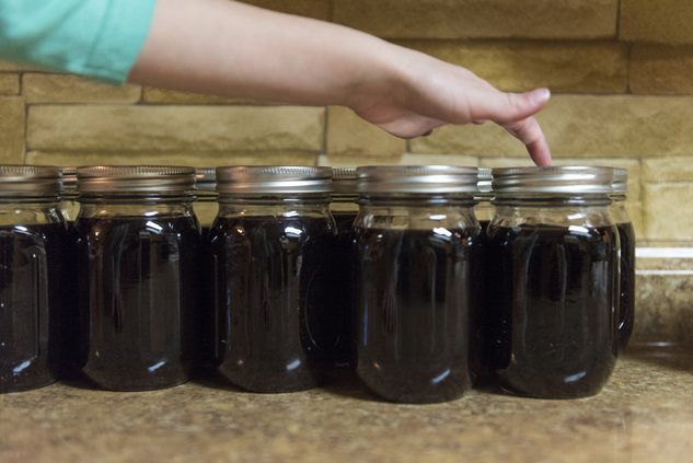 02092018 ELDERBERRY 05.jpg