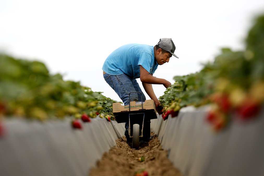 Letter: Blame illegal immigration on employers, not those hired - Gainesville Times