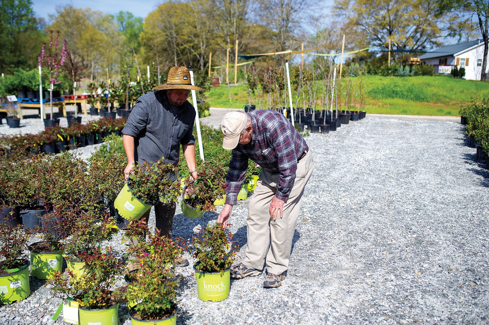 South Hall continues to grow with new nursery, gardens Gainesville Times