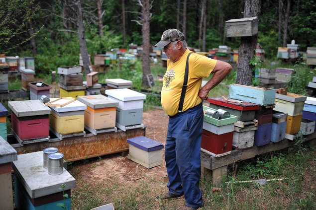 05162018 BEES 6.jpg