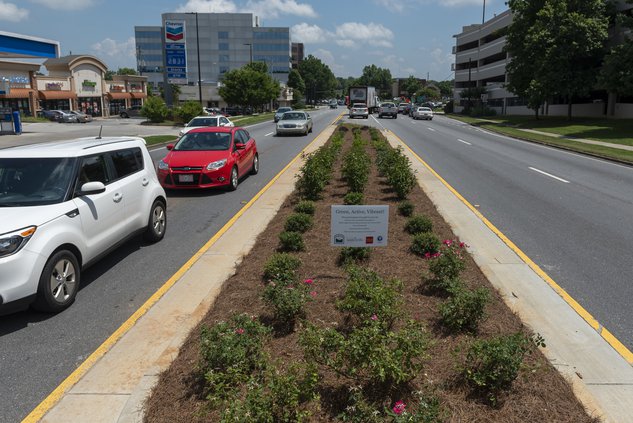 06022018 MOAT 05.jpg