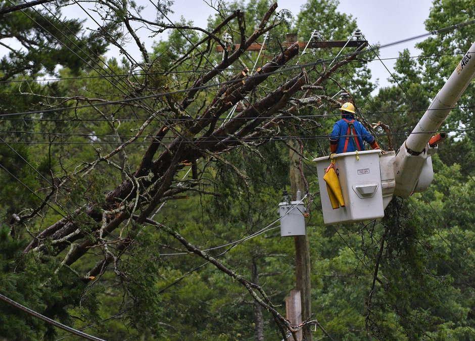 Tree down across Ledan Road in North Hall Gainesville Times