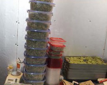 07072018 marijuana 2.jpg