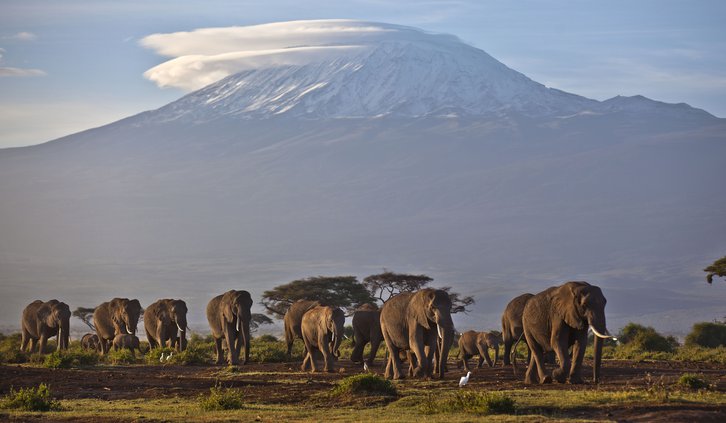 09022018 MOUNT KILIMANJARO