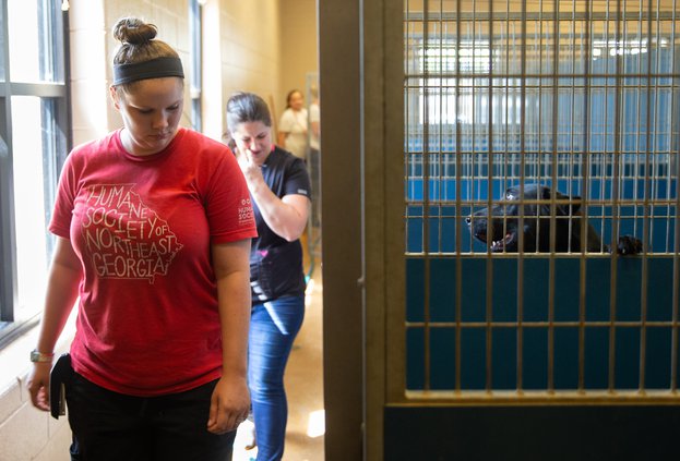 09152018 SHELTER 001.JPG