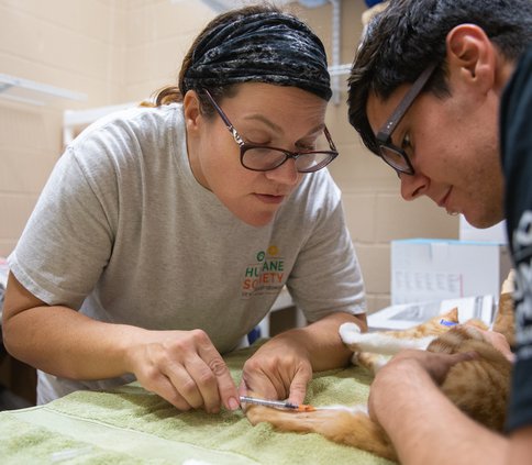 09152018 SHELTER 002.JPG