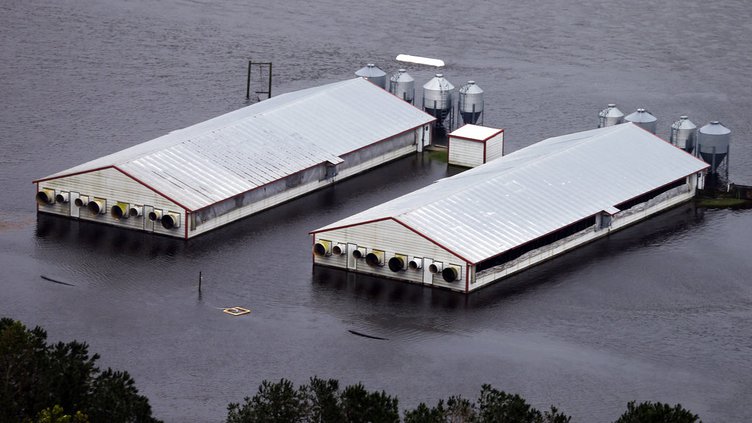 10102018 FLORENCE FLOODING