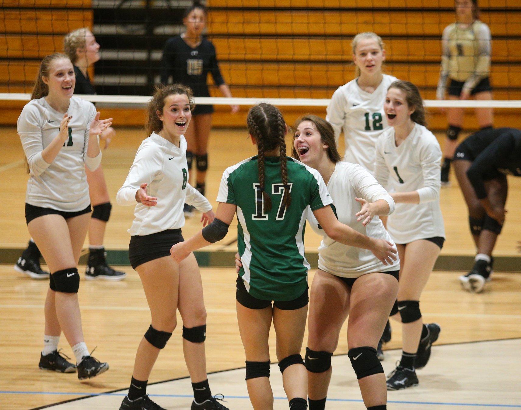 High school volleyball North Hall wins Area 73A Championship Gainesville Times