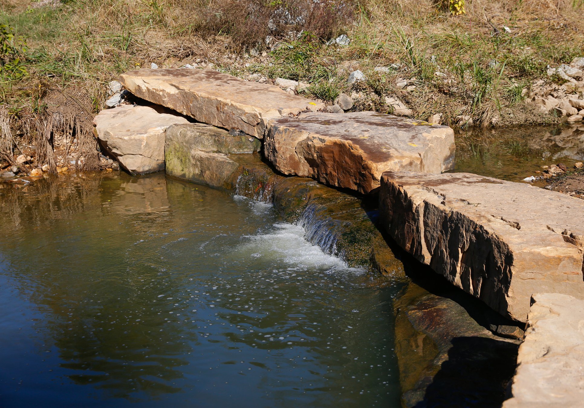 What's downstream for Flat Creek rejuvenation Gainesville Times