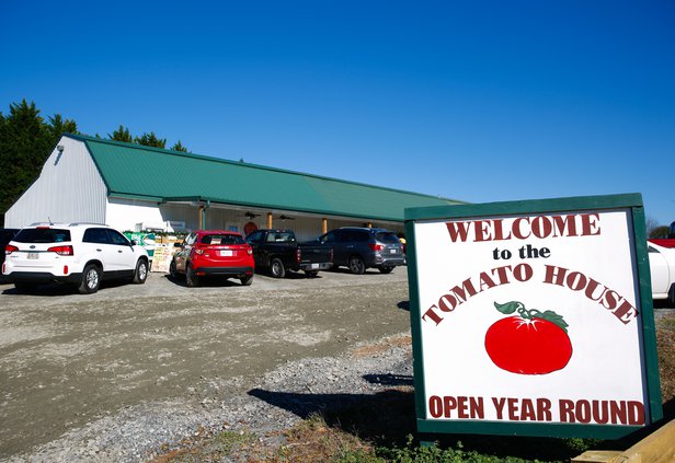 11212018 TOMATO 006.JPG