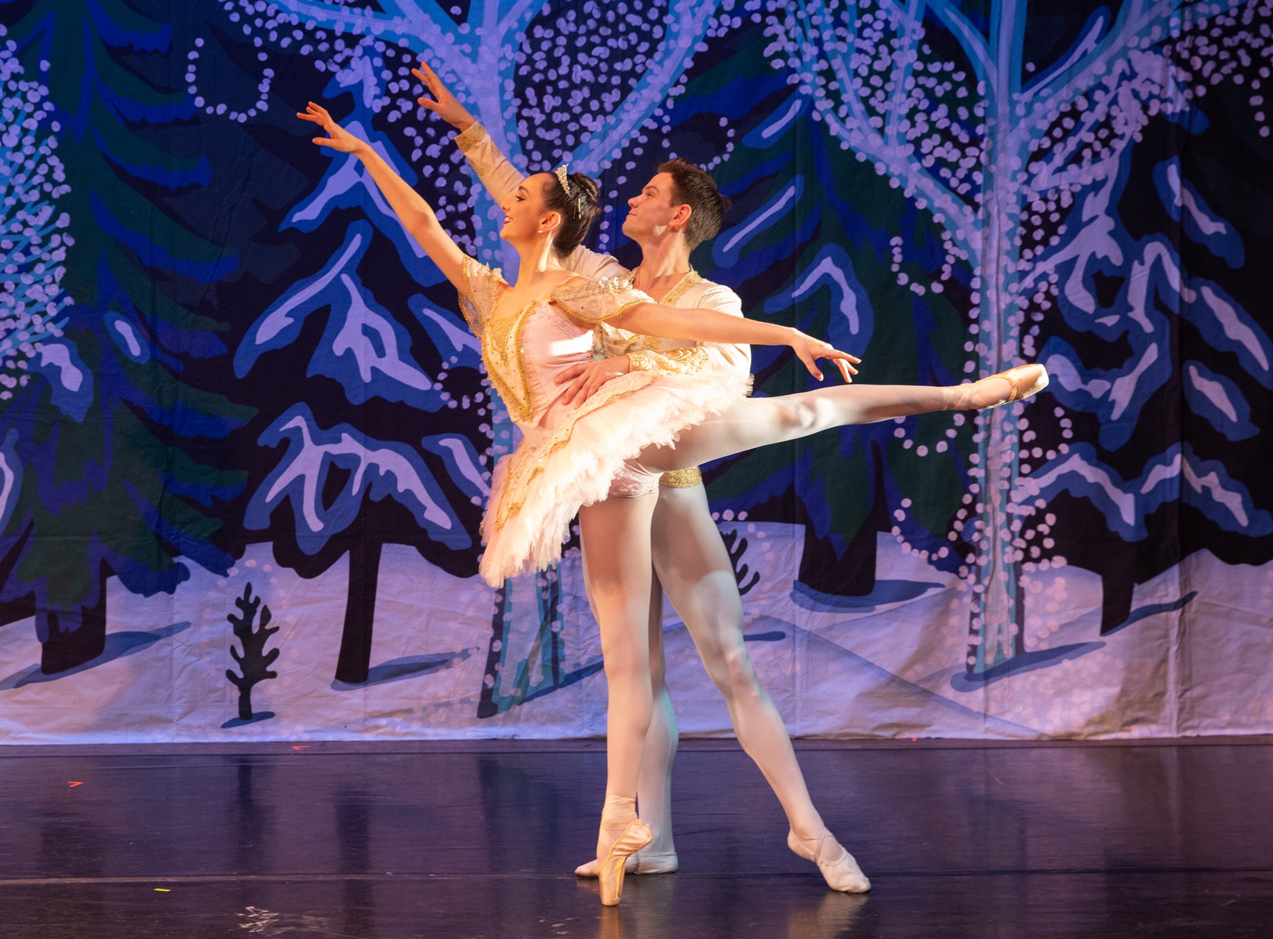 Gainesville Ballet Co. to offer lessons, look for new artistic director