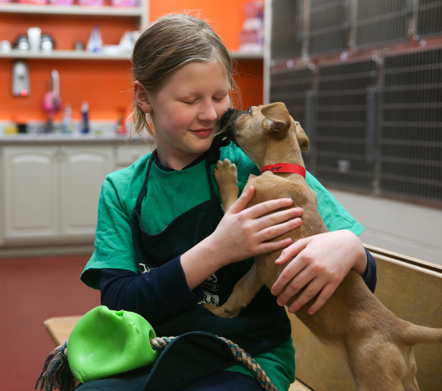 Humane Society of Northeast reflects on successful adoption