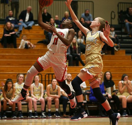 02212019 BRANCH 001.JPG