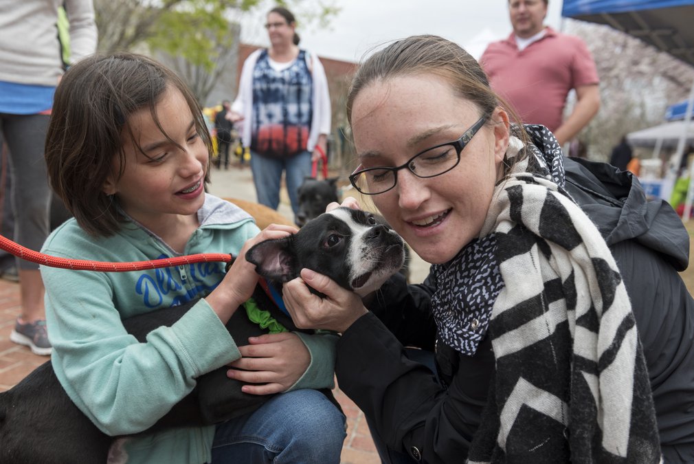 Meet the good dogs of Gainesville at a downtown event this month