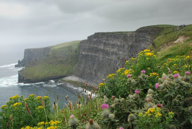 Cliffs of Moher