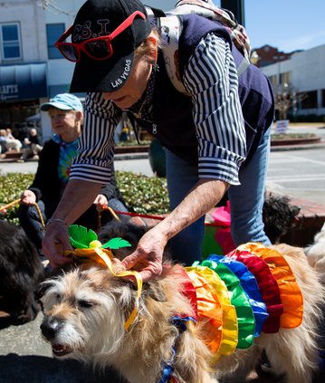03242019 MUTTS 004.JPG