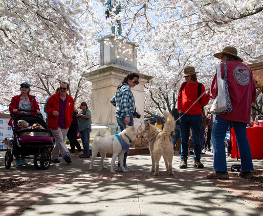 03242019 MUTTS 006.JPG