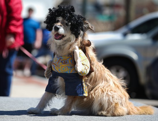 03242019 MUTTS 011.JPG