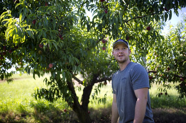 05222019 PEACH 1.jpg