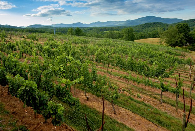 05262019 WINE 001.jpg