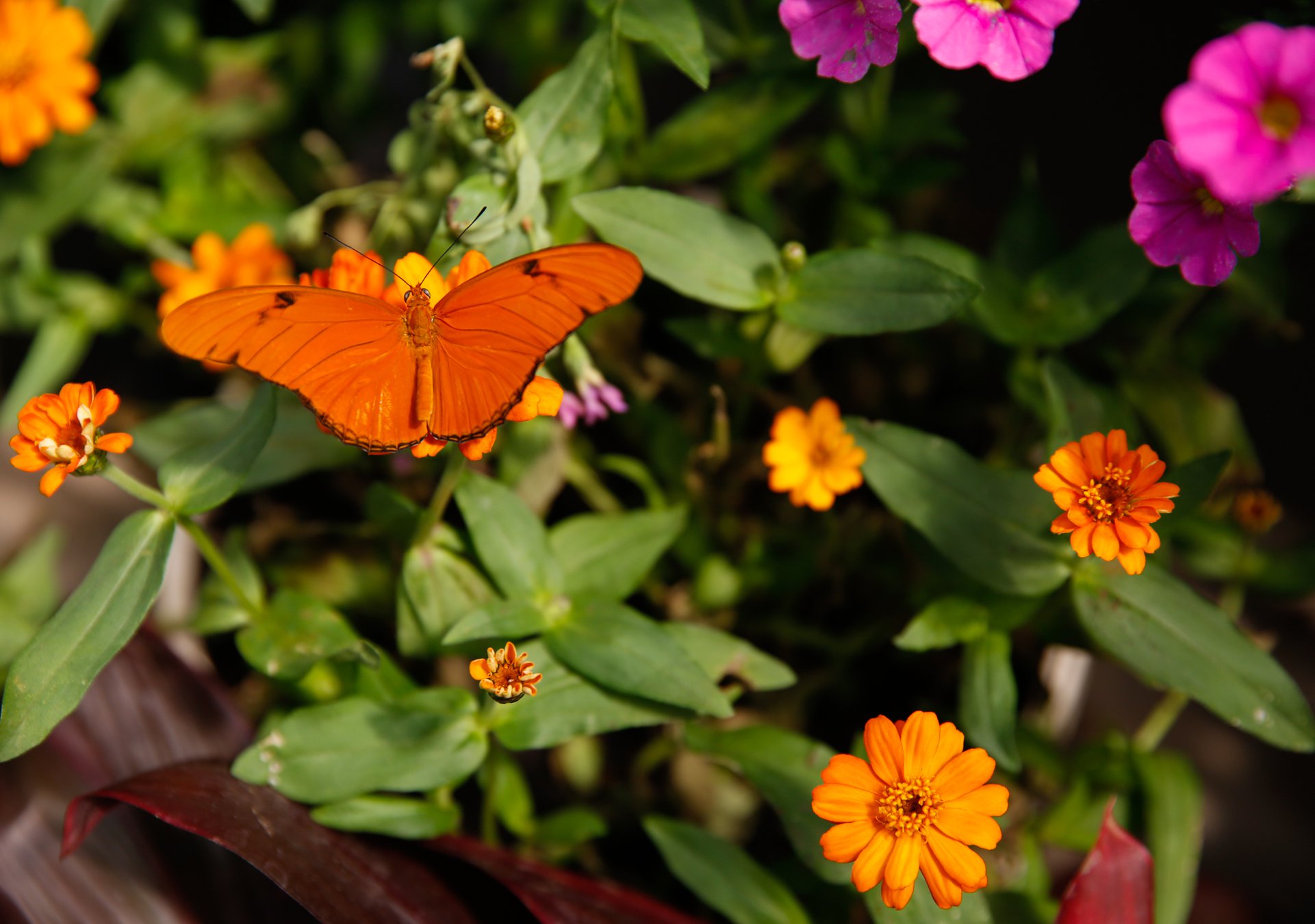 How a former video producer transformed her dream into an 8acre